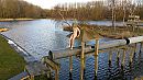 Waterpret, foto 3266x1837, 2 reacties, 14 stemmen