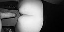 Welke?, foto 2846x1463, 6 reacties, 37 stemmen