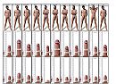 Welkom Hagr!, foto 2016x1472, 1 reacties, 3 stemmen