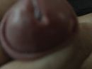 Wet, foto 3264x2448, 0 reacties, 2 stemmen