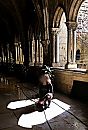 What's on a womans mind?, foto 2535x3737, 11 reacties, 37 stemmen