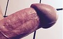 Wil jij hem zien zo dichtbij?, foto 425x266, 1 reacties, 3 stemmen