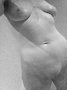 X, foto 480x640, 7 reacties, 40 stemmen