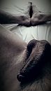 Zo meteen douchen en scheren!, foto 2121x3771, 0 reacties, 2 stemmen