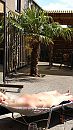 Under the Palm Tree ;-), foto 1836x3264, 8 reacties, 95 stemmen