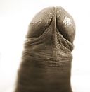....., foto 1015x1024, 4 reacties, 16 stemmen