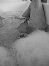 ..., foto 3000x4000, 0 reacties, 0 stemmen