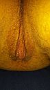 ., foto 2250x4000, 0 reacties, 2 stemmen