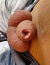 ..., foto 1836x2346, 2 reacties, 20 stemmen