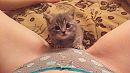 ..., foto 540x304, 4 reacties, 14 stemmen
