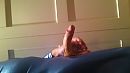 ., foto 1920x1080, 1 reacties, 8 stemmen