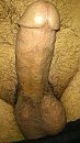 ben geil, foto 2250x4000, 11 reacties, 26 stemmen