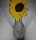 bloemetje, foto 2136x2316, 1 reacties, 3 stemmen