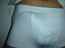 boxer, foto 500x375, 0 reacties, 2 stemmen
