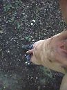 buiten, foto 480x640, 3 reacties, 3 stemmen