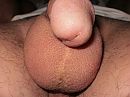 close up, foto 1280x960, 0 reacties, 1 stemmen