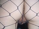 close up, foto 4000x3000, 3 reacties, 29 stemmen
