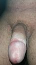cock, foto 2250x4000, 2 reacties, 3 stemmen