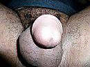 cock, foto 160x120, 1 reacties, 3 stemmen
