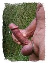 deel 2 spuitfoto's, foto 1242x1661, 4 reacties, 18 stemmen