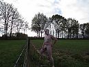 dicht bij de autosnelweg, foto 4000x3000, 4 reacties, 7 stemmen