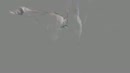 diep in haar mond, film 00:00:00, 1 reacties, 21 stemmen