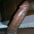 dikk pik voor dames, foto 240x240, 0 reacties, 0 stemmen