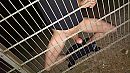 door het hek :$, foto 2688x1520, 4 reacties, 13 stemmen