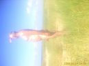 duinen, foto 640x480, 3 reacties, 24 stemmen