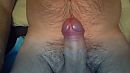 eikel, foto 1280x720, 0 reacties, 2 stemmen