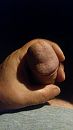 eikeltje, foto 1836x3264, 0 reacties, 2 stemmen