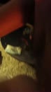 escort girl, film 00:00:00, 2 reacties, 17 stemmen