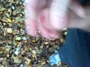 even ontspannen, film 00:00:26, 18 reacties, 50 stemmen