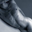 fotoshoot 2, foto 500x500, 4 reacties, 11 stemmen