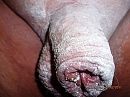 frisch eingepudert.2, foto 4000x3000, 0 reacties, 0 stemmen