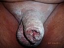 frisch eingepudert., foto 4000x3000, 0 reacties, 0 stemmen
