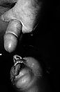 gang bang, foto 2666x4000, 4 reacties, 17 stemmen