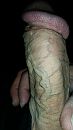 geile bui, foto 2250x4000, 0 reacties, 1 stemmen