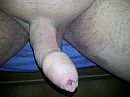 geniet ervan, foto 3264x2448, 1 reacties, 6 stemmen