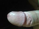 gespannen....., foto 2560x1920, 1 reacties, 4 stemmen