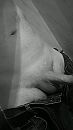 getting a bit more aroused..., foto 747x1328, 0 reacties, 1 stemmen