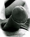 gewoon even, foto 1469x1838, 3 reacties, 12 stemmen
