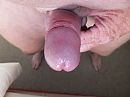gewoon lekker, foto 4000x3000, 1 reacties, 4 stemmen