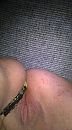 goed ?, foto 539x960, 29 reacties, 97 stemmen