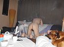 goed zo, foto 4000x3000, 1 reacties, 11 stemmen