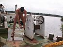 hard werk, foto 2272x1704, 1 reacties, 8 stemmen