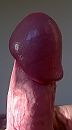 harde paal, gliimende eikel, foto 806x1435, 0 reacties, 2 stemmen