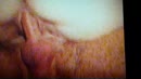 heerlijk, film 00:00:00, 6 reacties, 64 stemmen