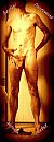 herfst/automne/autumn/herbst, foto 312x800, 2 reacties, 2 stemmen