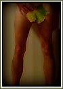herfst, foto 576x800, 2 reacties, 1 stemmen